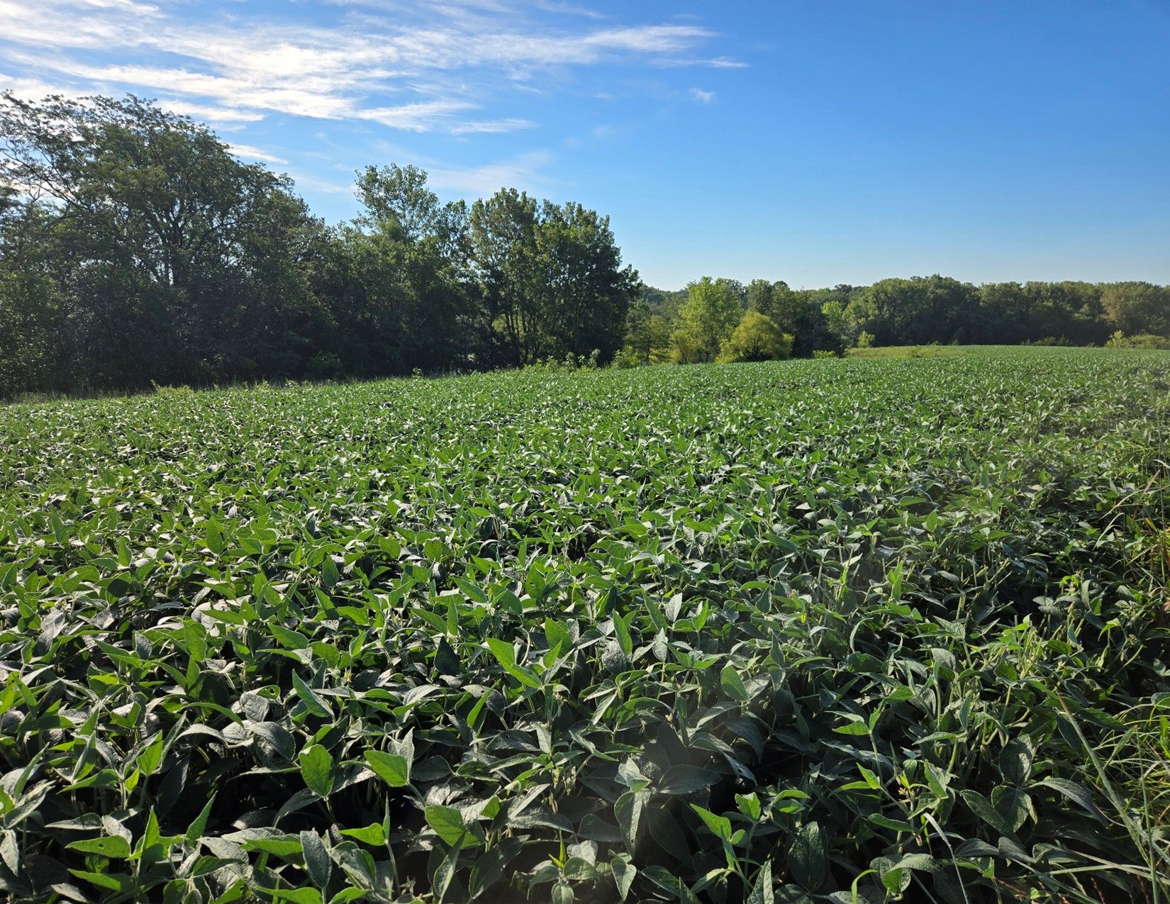 Listing Photo: 1066 Co Rd S56, Wayne County, Iowa